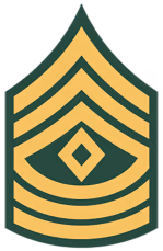 police rank insignias
