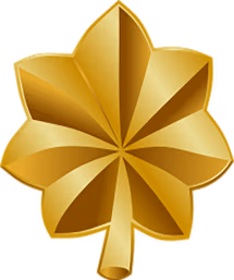police rank insignias