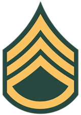 police rank insignias