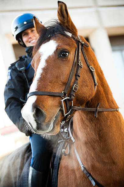 mounted police