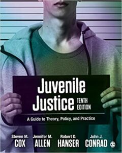 juvenile custody report